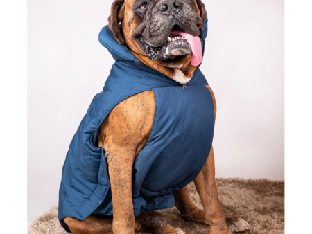 Petsnugs Water Resistant Jackets for Dogs and Cats (Blue) Online