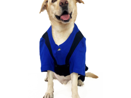 Dogobow Dungaree Dress For Dogs (Blue Black) (Get a Bow Free) Online now