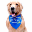 Dogobow Birthday Dude Scarf for Dogs (Royal Blue) (Get a Bow Free) Discount