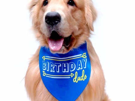 Dogobow Birthday Dude Scarf for Dogs (Royal Blue) (Get a Bow Free) Discount