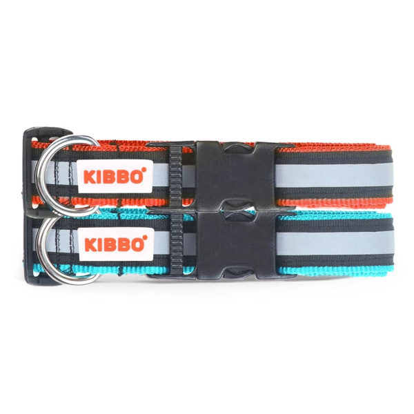 Kibbo Nylon Collar with Adjustable Buckle and D-Ring (Sea Green & Red Pack of 2) Fashion