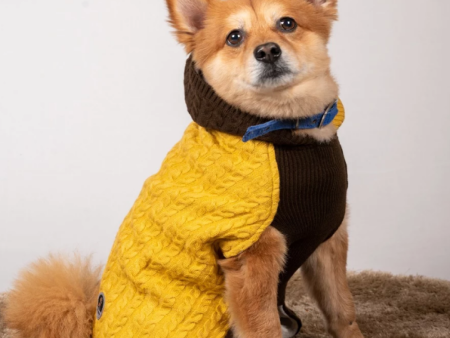 Petsnugs Cable Knit Sweater for Dogs and Cats (Brown Mustard) For Sale