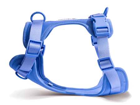 Furry & Co Bold Harness for Dogs (Everest Blue) For Cheap