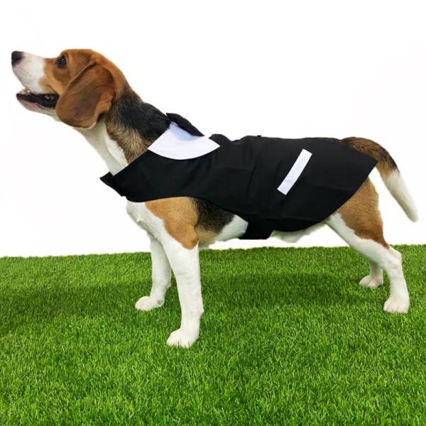 Dogobow Tuxedo Wrap for Dogs (Black   White) (Get a Bow Free) Hot on Sale