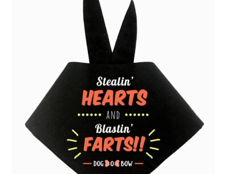 Dogobow Stealin Hearts Scarf for Dogs (Black) (Get a Bow Free) For Sale