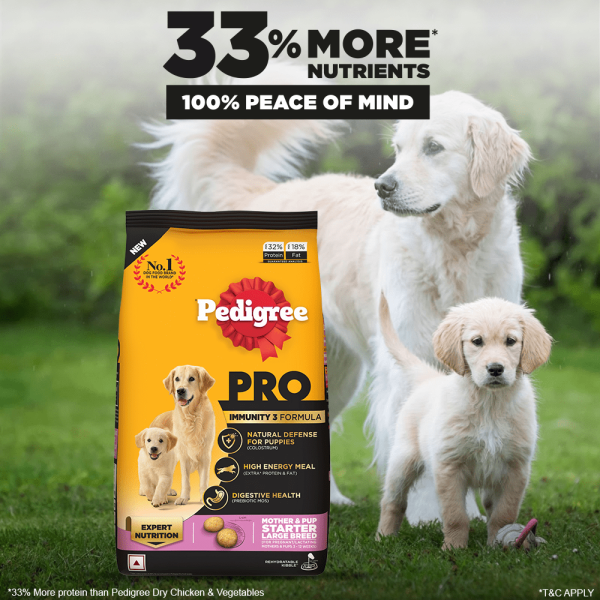 Pedigree PRO Expert Nutrition Lactating Pregnant Mother & Puppy Starter Large Breed Dog Dry and Chicken Chunks in Gravy Puppy Wet Food Combo For Cheap