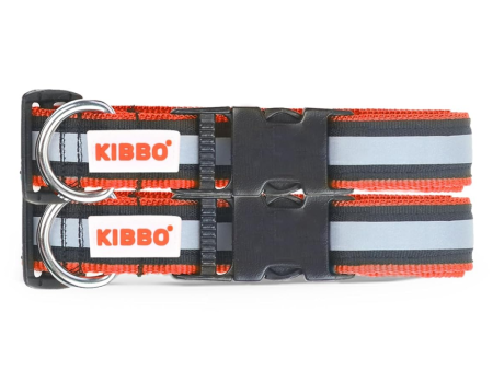 Kibbo Nylon Collar with Adjustable Buckle and D-Ring (Red Pack of 2) Sale