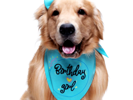 Dogobow Birthday Girl Scarf for Dogs (Teal blue) (Get a Bow Free) Online