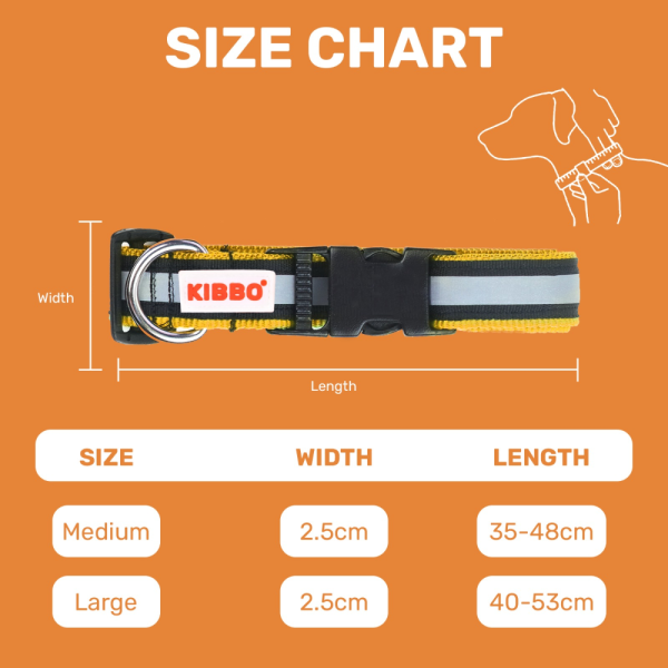 Kibbo Nylon Collar with Adjustable Buckle and D-Ring (Red & Yellow Pack of 2) Online now