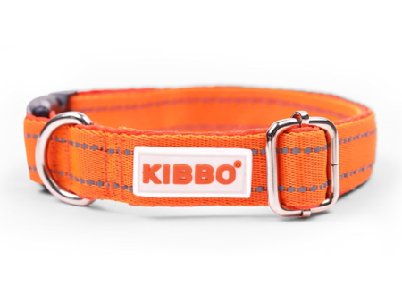 Kibbo Premium Reflective Padded With Soft Mesh Padding & Adjustable Design Collar for Dogs (Orange) Supply