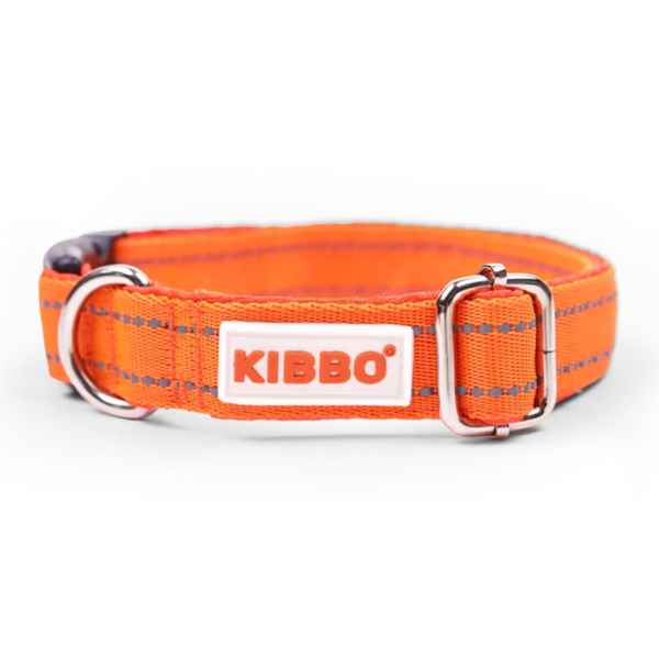 Kibbo Premium Reflective Padded With Soft Mesh Padding & Adjustable Design Collar for Dogs (Orange) Supply