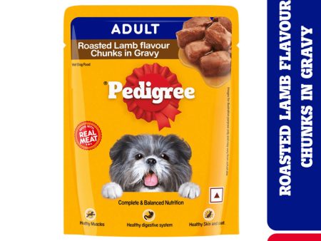 Pedigree Roasted Lamb Flavour Chunks in Gravy Adult Dog Wet Food Fashion