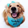 Dogobow Birthday Girl Scarf for Dogs (Teal blue) (Get a Bow Free) Online