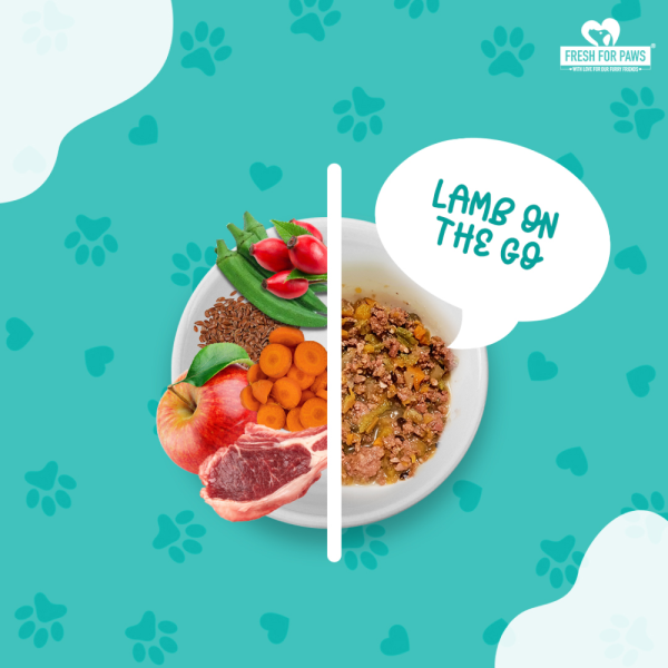 Fresh For Paws Lamb On The Go Dog Wet Food (300g) Discount