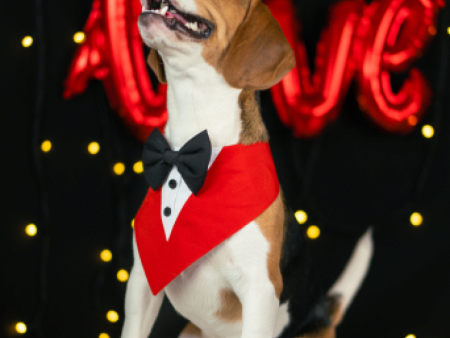 Dogobow Tuxedo Bandana for Dogs (Red) (Get a Bow Free) For Discount