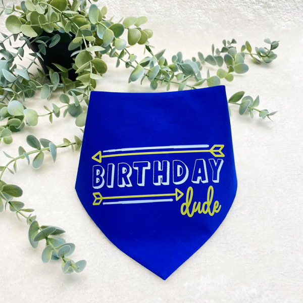 Dogobow Birthday Dude Scarf for Dogs (Royal Blue) (Get a Bow Free) Discount