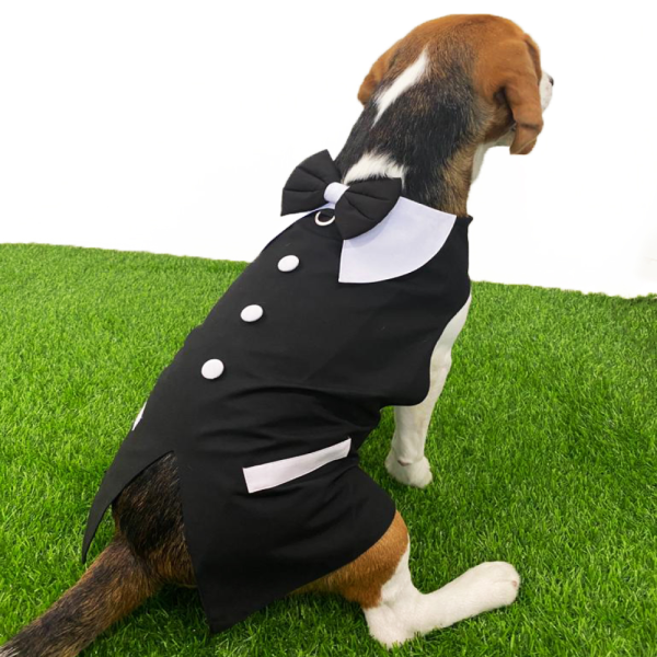 Dogobow Tuxedo Wrap for Dogs (Black   White) (Get a Bow Free) Hot on Sale