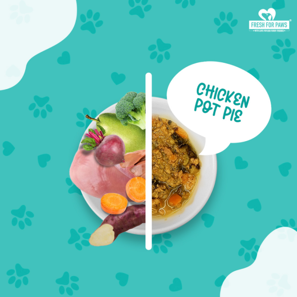 Fresh For Paws Chicken Pot Pie Wet Food for Cats and Dogs (300g) Supply