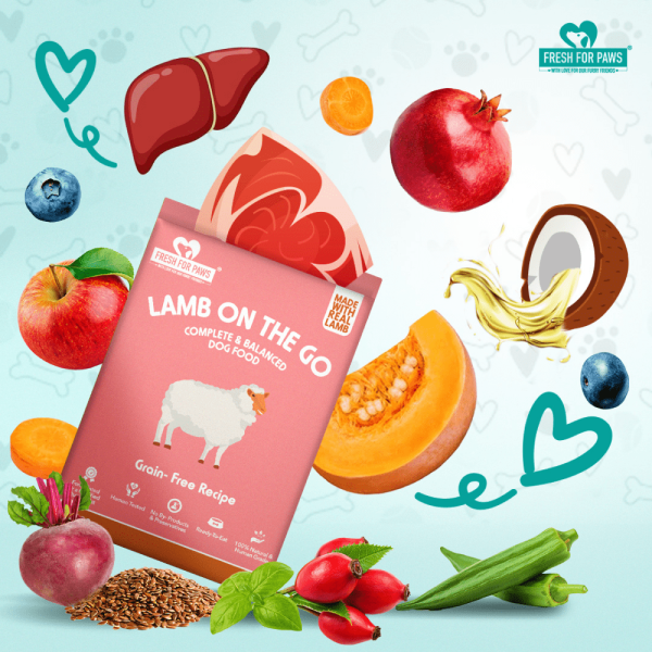 Fresh For Paws Lamb On The Go Dog Wet Food (300g) Discount