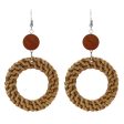 Wholesale Straw Rattan Woven Alloy Earrings For Discount