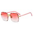 Wholesale Two Color Gradient Square PC Sunglasses Supply