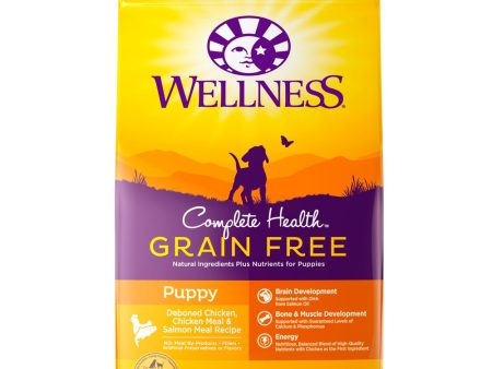 $10 OFF 4lb(Exp 11Apr25)+FREE Wipes : Wellness Complete Health Grain Free Puppy Dry Dog Food For Cheap