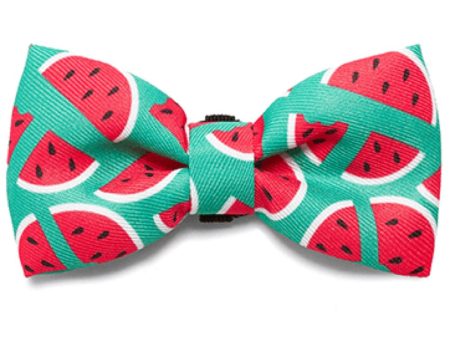 Zee.Dog Lola Bow Tie Online