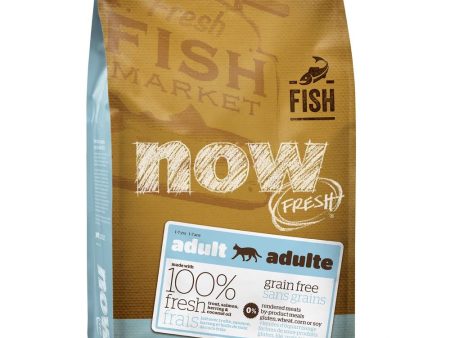 Now Fresh Grain-Free Fish Recipe Adult Dry Cat Food Online