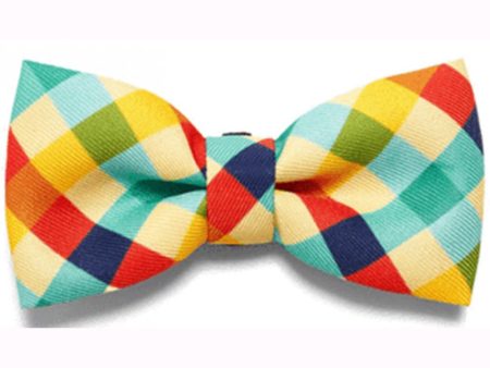 Zee.Dog Phantom Bow Tie Sale