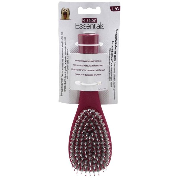 Le Salon Essentials Dog Porcupine Bristle Brush Online now