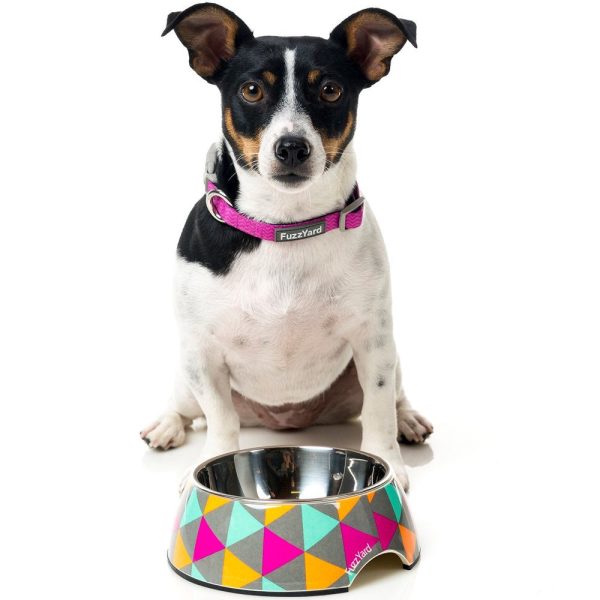 FuzzYard Easy Feeder Dog Bowl (Pop) Supply