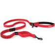 EzyDog Hands-Free Road Runner Leash With Zero Shock Fashion