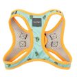 FuzzYard Step-in Dog Harness (Tucson) Hot on Sale