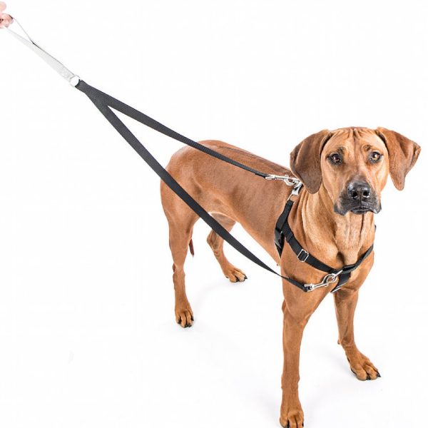 2 Hounds Design Freedom No-Pull Dog Harness & Leash - Red Black Online now