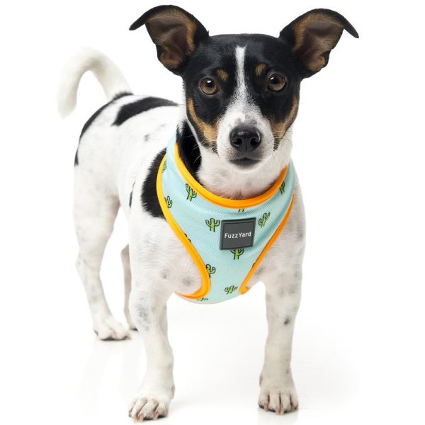 FuzzYard Step-in Dog Harness (Tucson) Hot on Sale