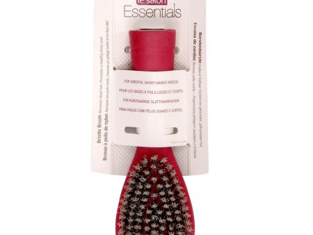 Le Salon Essentials Dog Bristle Brush For Discount