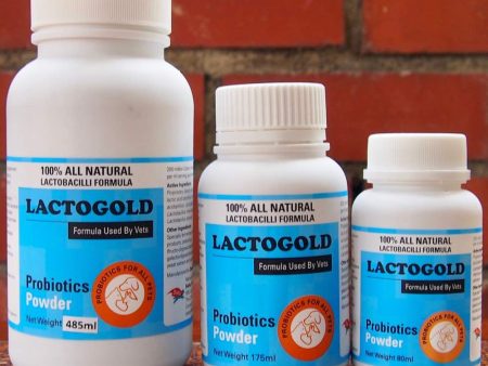 Lactogold Probiotic Powder Supplement For Discount