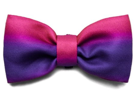 Zee.Dog Juno Bow Tie Cheap