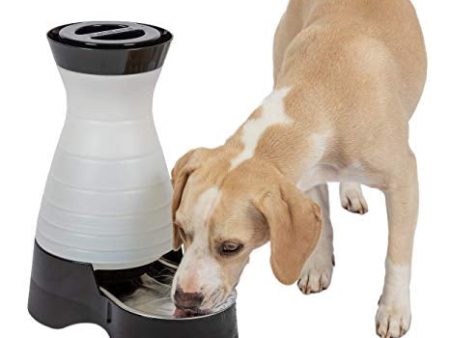 Petsafe Water Station With Stainless Steel Bowl For Cats & Dogs Hot on Sale