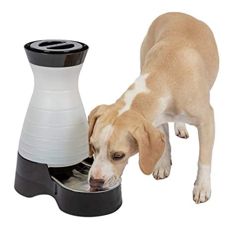 Petsafe Water Station With Stainless Steel Bowl For Cats & Dogs Hot on Sale