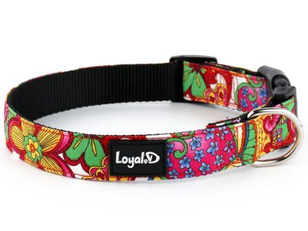 Loyal.D Cotton Canvas Dog Collar - Happy Hippy Sale