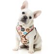 FuzzYard Step-in Dog Harness (Go Nuts) For Discount