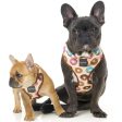 FuzzYard Step-in Dog Harness (Go Nuts) For Discount