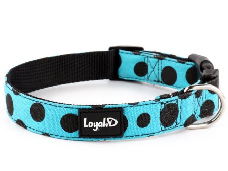 Loyal.D Cotton Canvas Dog Collar - Get Spott.D Online