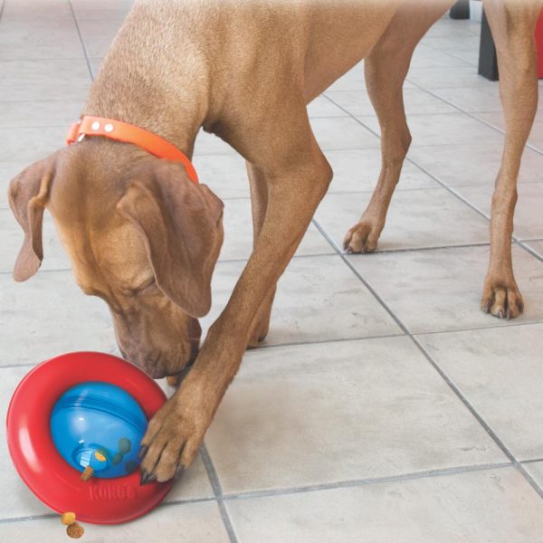 Kong Gyro Interactive Dog Toy Online