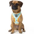 FuzzYard Step-in Dog Harness (Tucson) Hot on Sale